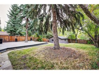 Photo 25: 7824 Elbow Drive SW in Calgary: Kingsland Detached for sale : MLS®# A1251177