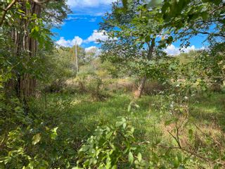 Photo 4: 76 George in Shelburne: 407-Shelburne County Vacant Land for sale (South Shore)  : MLS®# 202223271