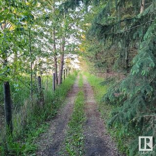 Photo 48: 55412 RGE RD 245: Rural Sturgeon County House for sale : MLS®# E4317445