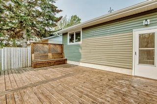 Photo 14: 9960 Warren Road SE in Calgary: Willow Park Detached for sale : MLS®# A2050383