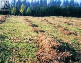 Photo 7: NORTH NEWLANDS ROAD in Prince George: Vacant Land for sale : MLS®# R2781742