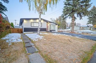 Photo 44: 664 97 Avenue SE in Calgary: Acadia Detached for sale : MLS®# A2016892