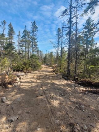 Photo 5: Lot 12 Virginia Road in West Springhill: Annapolis County Vacant Land for sale (Annapolis Valley)  : MLS®# 202211972
