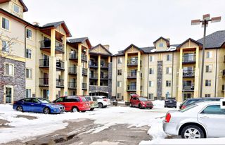 Photo 1: 1425 8810 Royal Birch Boulevard NW in Calgary: Royal Oak Apartment for sale : MLS®# A1209055