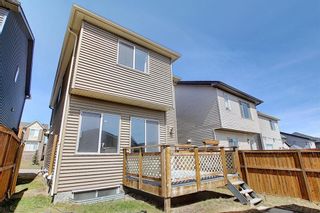 Photo 42: 55 Nolanfield Terrace NW in Calgary: Nolan Hill Detached for sale : MLS®# A1094536