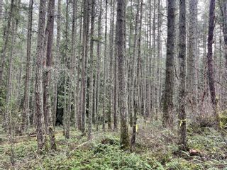 Photo 3: Lot B Alec Rd in Central Saanich: CS Saanichton Land for sale : MLS®# 955846