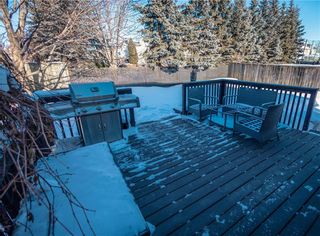 Photo 26: 137 Westchester Drive in Winnipeg: Linden Woods House for sale (1M)  : MLS®# 202302898