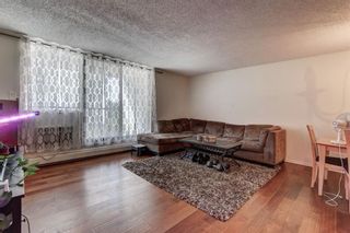 Photo 11: 4E 133 25 Avenue SW in Calgary: Mission Apartment for sale : MLS®# A2085043