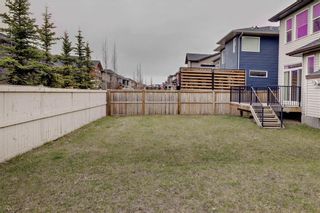 Photo 33: 18 EVANSFIELD Park NW in Calgary: Evanston Detached for sale : MLS®# C4295619