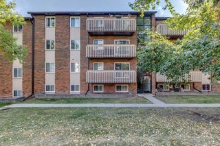 Photo 24: 914 11620 Elbow Drive SW in Calgary: Canyon Meadows Apartment for sale : MLS®# A2003502