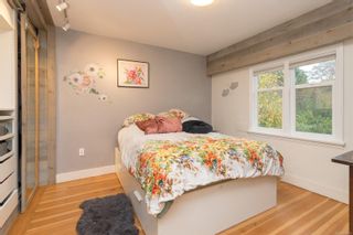 Photo 16: 903 Richmond Ave in Victoria: Vi Fairfield East House for sale : MLS®# 918410