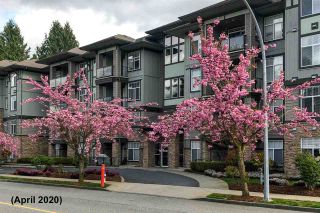 Photo 34: 408 33338 MAYFAIR Avenue in Abbotsford: Central Abbotsford Condo for sale in "The Sterling" : MLS®# R2456135