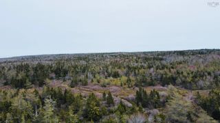 Photo 8: NO 3 Highway in Upper Woods Harbour: 407-Shelburne County Vacant Land for sale (South Shore)  : MLS®# 202309286