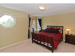 Photo 11: 223 31 Avenue NW in Calgary: Tuxedo Park House for sale : MLS®# C4072300