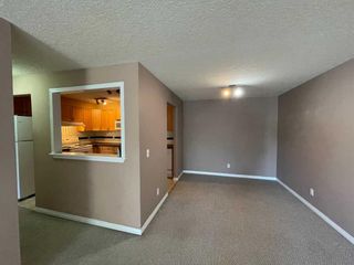 Photo 17: 305 1919 17 Avenue SW in Calgary: Bankview Apartment for sale : MLS®# A2083772