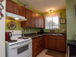 Photo 7: 4 951 17th St in COURTENAY: CV Courtenay City Row/Townhouse for sale (Comox Valley)  : MLS®# 721888