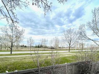 Photo 44: 3344 Palliser Drive SW in Calgary: Oakridge Detached for sale : MLS®# A2114409