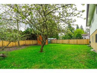 Photo 26: 5000 203 Street in Langley: Langley City House for sale : MLS®# R2572132