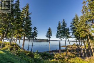 Photo 6: 24 1 Alder Bay Rd in Port McNeill: House for sale : MLS®# 952418