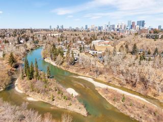 Photo 48: 3910 4 Street SW in Calgary: Elbow Park Detached for sale : MLS®# A2074205