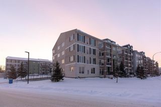 Photo 1: 327 25 Bridgeland Drive in Winnipeg: Bridgwater Forest Condominium for sale (1R)  : MLS®# 202401524