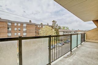 Photo 13: 413 617 56 Avenue SW in Calgary: Windsor Park Apartment for sale : MLS®# A2047908