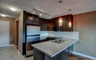 Photo 6: 449 35 Richard Court SW in Calgary: Lincoln Park Apartment for sale : MLS®# A2129003