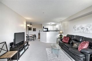 Photo 26: 3212 604 8 Street SW: Airdrie Apartment for sale : MLS®# A1090044