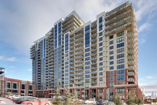 Photo 36: 818 8880 Horton Road SW in Calgary: Haysboro Apartment for sale : MLS®# A1159876