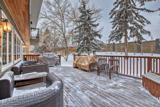 Photo 42: 12 Silvergrove Place NW in Calgary: Silver Springs Detached for sale : MLS®# A2103676