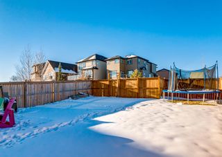 Photo 43: 264 Nolanshire Point NW in Calgary: Nolan Hill Detached for sale : MLS®# A2011624