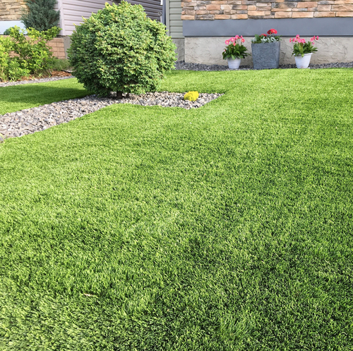 8 Ways to Use Synthetic Turf to Beautify Your Yard