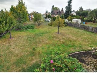Photo 19: 774 Snowdrop Ave in VICTORIA: SW Marigold House for sale (Saanich West)  : MLS®# 693817