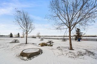 Photo 44: 100 Kinniburgh Close: Chestermere Detached for sale : MLS®# A2097798