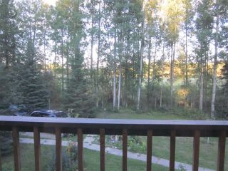 Photo 15: 53022 Range Road 172, Yellowhead County in : Edson Country Residential for sale : MLS®# 28643