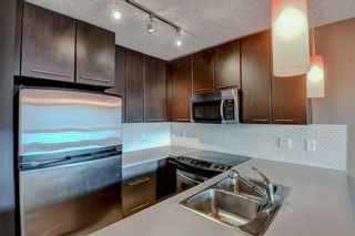 Photo 14: 449 35 Richard Court SW in Calgary: Lincoln Park Apartment for sale : MLS®# A2129003