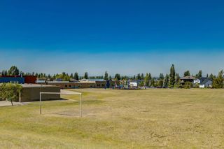 Photo 33: 165 Mt Lorette Place SE in Calgary: McKenzie Lake Detached for sale : MLS®# A2117602