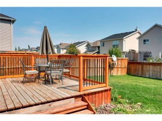 Photo 29: 257 COUGARTOWN Circle SW in Calgary: Cougar Ridge House for sale : MLS®# C4025299