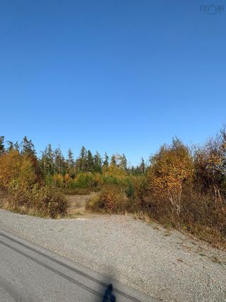 Photo 4: 41 Marine Gateway in Sheet Harbour: 35-Halifax County East Vacant Land for sale (Halifax-Dartmouth)  : MLS®# 202224438