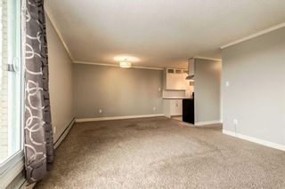 Photo 12: 307 2512 1 Avenue NW in Calgary: West Hillhurst Apartment for sale : MLS®# A2120328