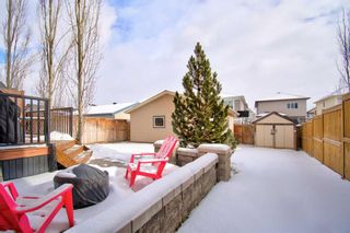 Photo 32: 16 Elgin Meadows Manor SE in Calgary: McKenzie Towne Detached for sale : MLS®# A2107233