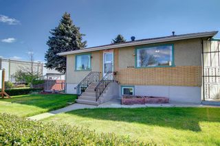 Photo 45: 2002 44 Street SE in Calgary: Forest Lawn Detached for sale : MLS®# A1222886