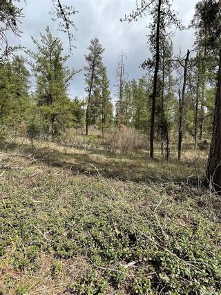 Photo 11: Torch River RM Acreage 5.51 Acres in Torch River: Lot/Land for sale (Torch River Rm No. 488)  : MLS®# SK897923