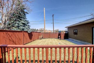 Photo 45: 528 96 Avenue SE in Calgary: Acadia Detached for sale : MLS®# A2008416