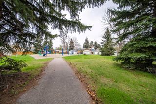 Photo 26: 32 Dovercroft Place SE in Calgary: Dover Detached for sale : MLS®# A2133917