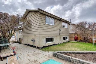 Photo 31: 80 Erin Grove Close SE in Calgary: Erin Woods Detached for sale : MLS®# A1107308