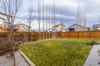 Photo 37: 12 Dallaire Drive: Carstairs Detached for sale : MLS®# A2094076