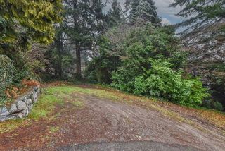 Photo 37: 13243 COULTHARD Road in Surrey: Panorama Ridge House for sale in "Panorama Ridge" : MLS®# R2880618
