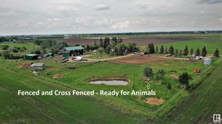Photo 6: 55506 RGE RD 254: Rural Sturgeon County House for sale : MLS®# E4300446