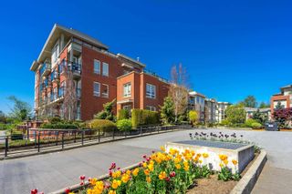 Photo 26: D215 20211 66 Avenue in Langley: Willoughby Heights Condo for sale in "Elements" : MLS®# R2878051